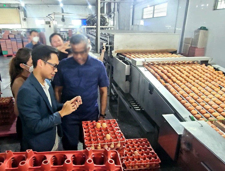 Công ty Ba Huân nợ hơn 600 tỉ đồng, ngân hàng xiết nợ hàng chục 'dãy chuồng gà' - Ảnh 1.