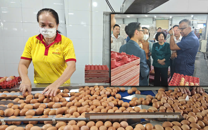 Ba Huân trong vòng xoáy nợ nần: Bà Huân ‘rút’, chưa đầy 5 tháng ba người thay nhau đứng tên doanh nghiệp  - Ảnh 2.
