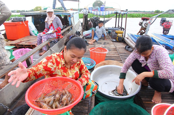 Theo dòng Mekong, 'lời nguyền con rồng' và câu chuyện phát triển - Bài 1: Nơi dòng sông gặp biển - Ảnh 2.