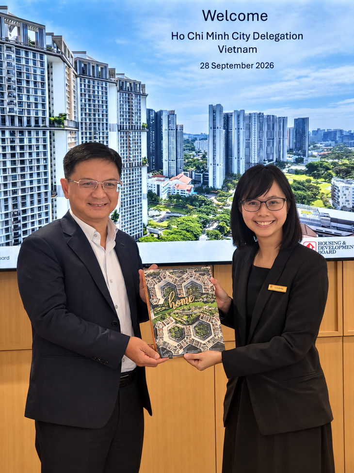 TP.HCM đẩy mạnh hợp tác với Singapore về cải cách hành chính - Ảnh 3.