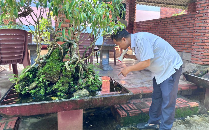 Đà Nẵng: Sốt xuất huyết tăng cao, nhiều ca bệnh thuộc tuýp vi rút nguy hiểm - Ảnh 1.