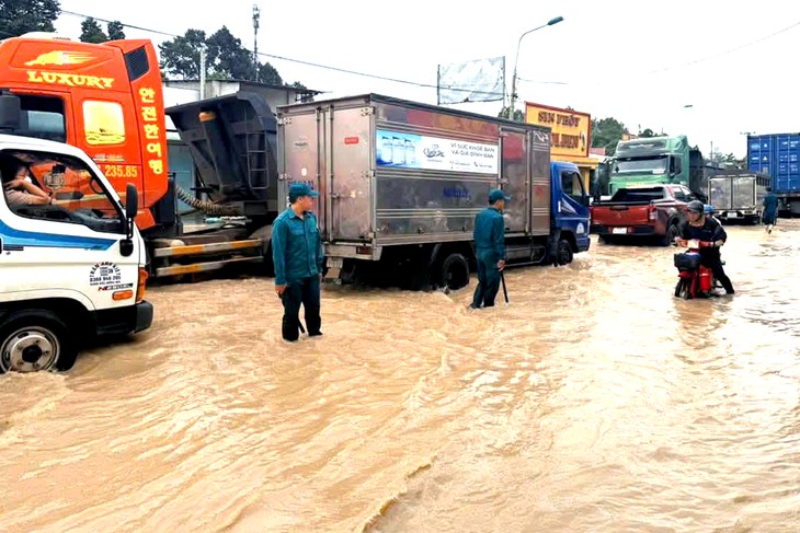 Mưa lớn, triều dâng, dân Đồng Nai sáng sớm bì bõm lội nước đi làm - Ảnh 4.
