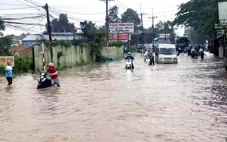 Lũ lại tràn về, khu dân cư cạnh cao tốc ở Đồng Nai thấp thỏm đón trận ngập thứ 3 - Ảnh 7.