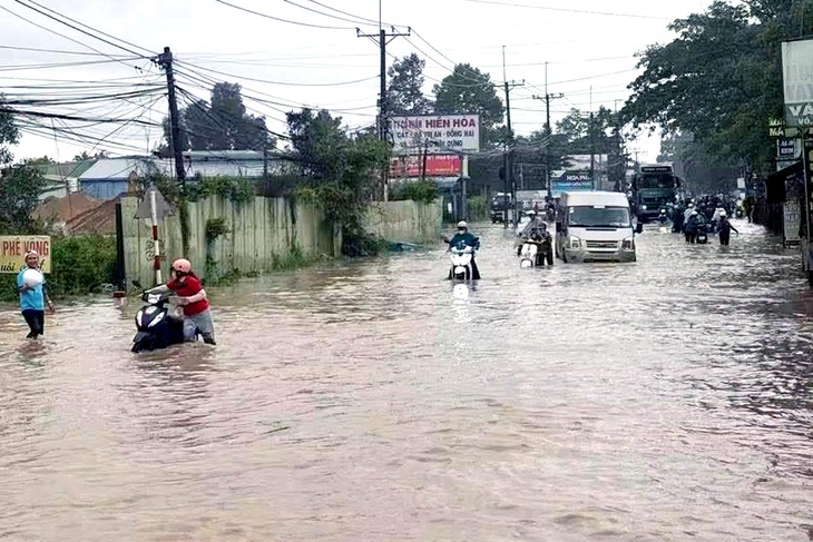 Mưa lớn, triều dâng, dân Đồng Nai sáng sớm bì bõm lội nước đi làm - Ảnh 6.