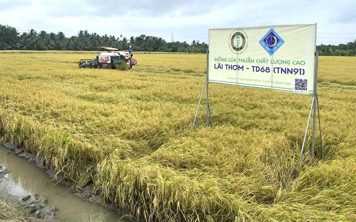 Đồng Tháp đặt mục tiêu nông dân đạt 145 triệu đồng mỗi năm - Ảnh 2.