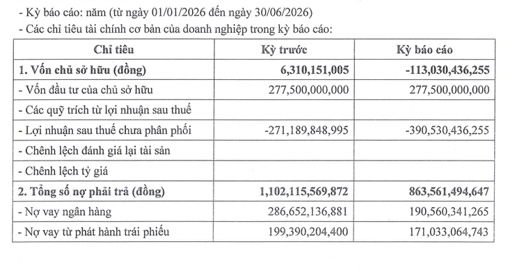 Công ty của đại gia Đường 'bia' âm vốn 113 tỉ đồng - Ảnh 3.