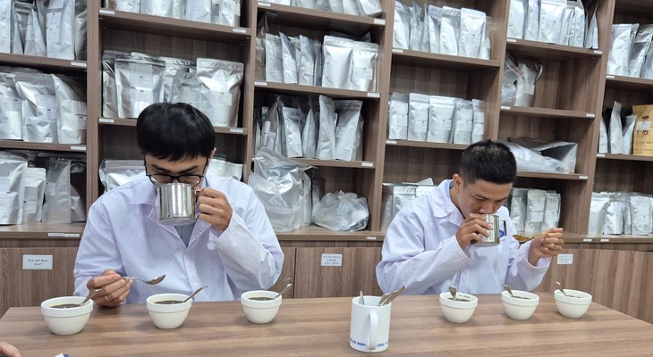 Cà phê Robusta Việt Nam bứt phá trong thị trường cà phê toàn cầu năm 2026 - Ảnh 1.