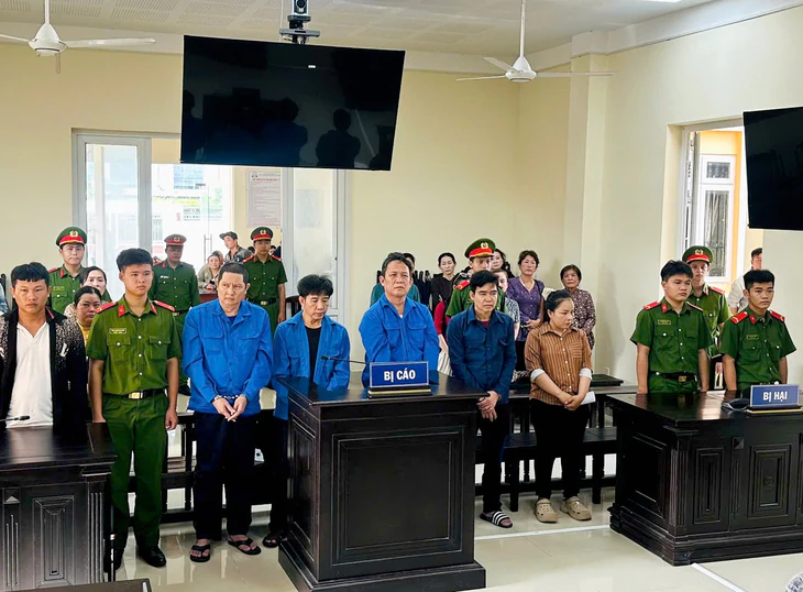 3 cựu viên chức thú y ở Cần Thơ lãnh án vì cho heo bệnh, chết vào giết mổ - Ảnh 2.