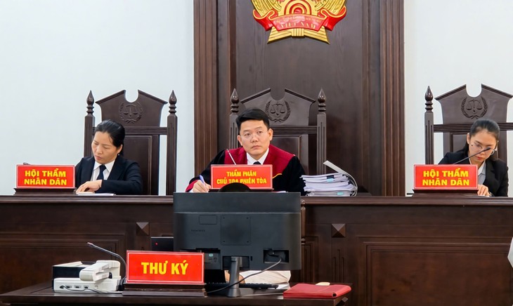Vụ dân sự công ích đầu tiên tại TP.HCM: Tòa tuyên VKS thắng kiện - Ảnh 2.