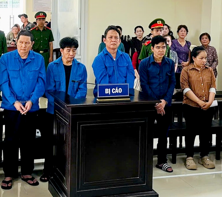 3 cựu viên chức thú y ở Cần Thơ lãnh án vì cho heo bệnh, chết vào giết mổ - Ảnh 2.