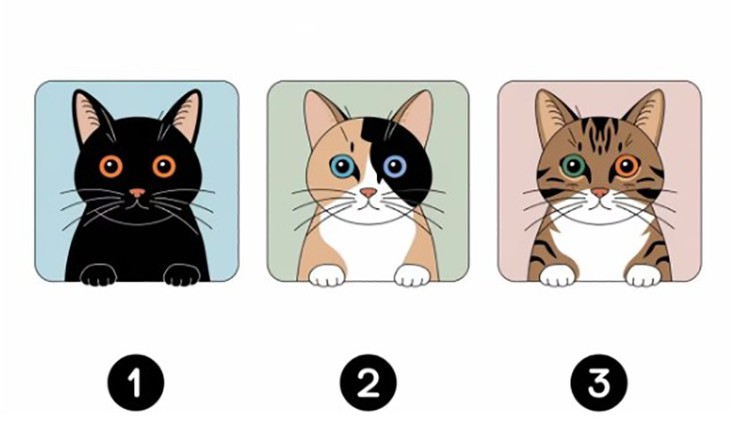 Quiz: Bạn kín đáo hay là người cởi mở, năng động? - Ảnh 1.