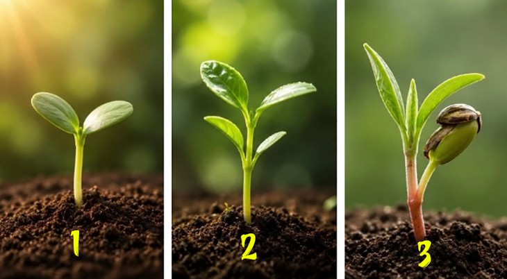 Quiz: Tài lộc may mắn nào đến với bạn trong tháng này? - Ảnh 1.