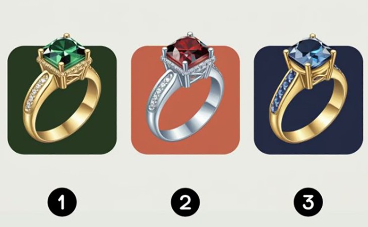 Quiz: Bạn thường đưa ra quyết định bằng lý trí, cảm xúc hay trực giác? - Ảnh 1.