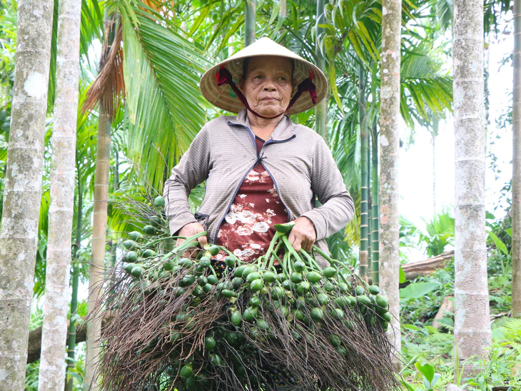 Cau xứ Tiên giá nhích lên, nông dân vẫn thấp thỏm - Ảnh 2.