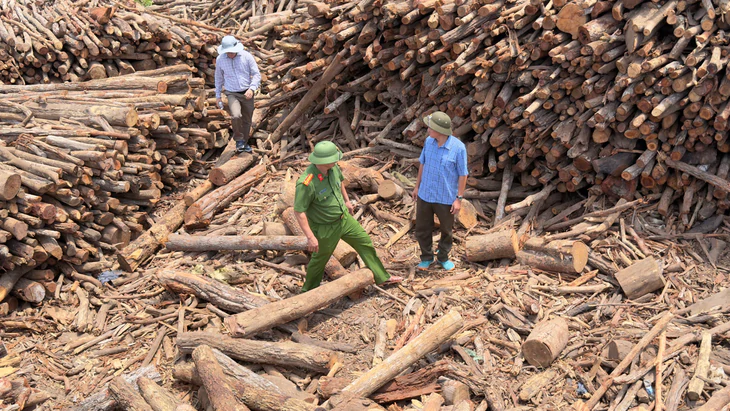Đắk Lắk chủ doanh nghiệp chở gỗ lậu khai tiền chung chi mỗi tháng - Ảnh 4.