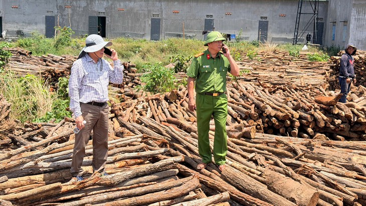 Đắk Lắk chủ doanh nghiệp chở gỗ lậu khai tiền chung chi mỗi tháng - Ảnh 5.