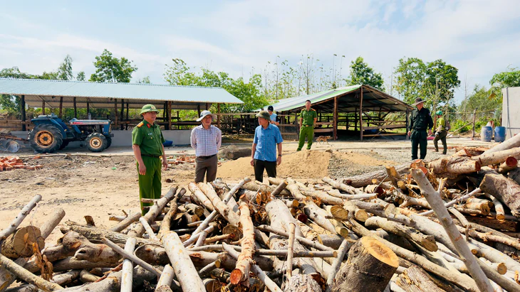 Đắk Lắk chủ doanh nghiệp chở gỗ lậu khai tiền chung chi mỗi tháng - Ảnh 6.