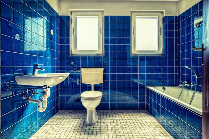Đóng nắp bồn cầu trước khi xả nước có thực sự cần thiết? - Ảnh 1.