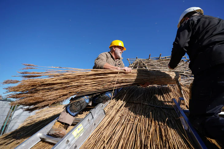 Anh tính đủ rơm cho 300.000 căn nhà mỗi năm, thế giới đang xây nhà bằng rơm tới đâu? - Ảnh 2.