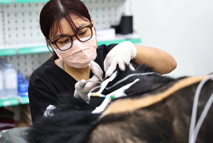 Cuối đời hạnh phúc của những chú gấu từng chịu dày vò, đau thương - Ảnh 7.