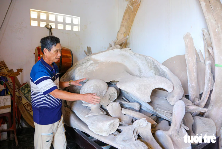 Hai bộ xương cá voi khổng lồ được thờ trong linh miếu làng chài cổ Quảng Trị - Ảnh 2.