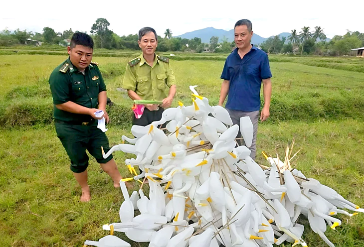 Dẹp bẫy chim ở TP Huế: Bảo vệ đa dạng sinh học và môi trường tự nhiên - Ảnh 3.