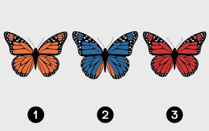 Quiz: Bạn quan tâm mọi người khác như thế nào? - Ảnh 1.
