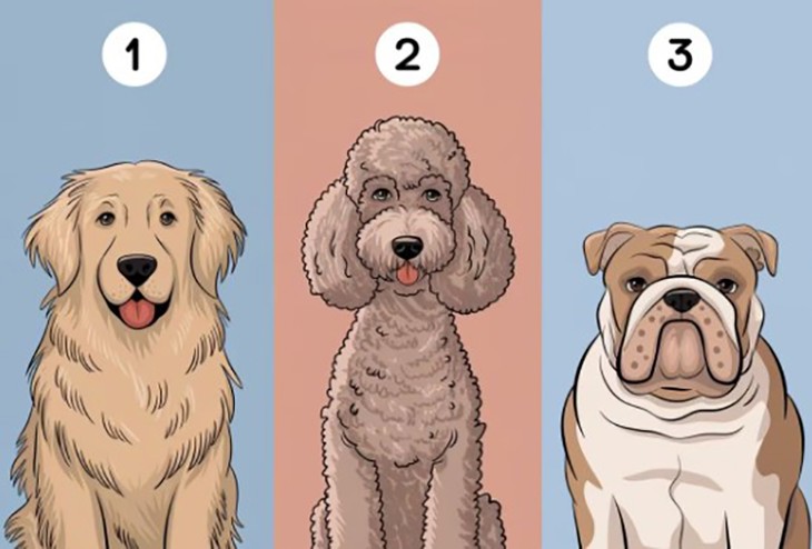 Quiz: Bạn thuộc tuýp người nào? - Ảnh 1.