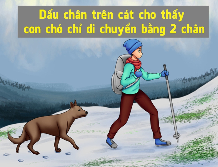 Chỉ người có đầu óc siêu đẳng mới giải được câu đố này trong 6 giây - Ảnh 3.