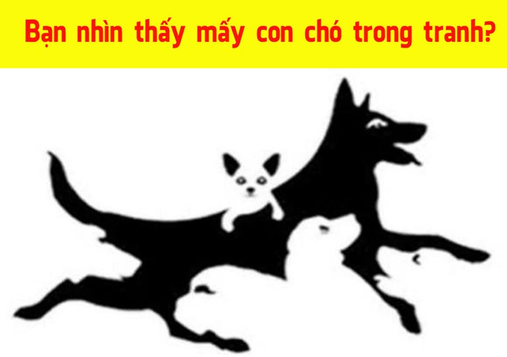 Số con vật nhìn thấy tiết lộ độ tuổi tâm hồn của bạn - Ảnh 1. Số con vật nhìn thấy tiết lộ độ tuổi tâm hồn của bạn - Ảnh 1.