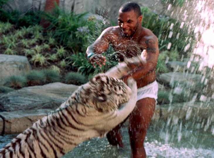 Tyson từng nuôi cả hổ