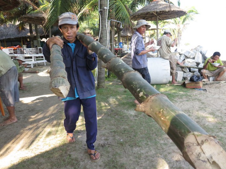 Ông Tạ Văn Năm vác tre làm cọc chống, đóng xuống bờ biển làm hàng rào chắn sóng và chống cát lở