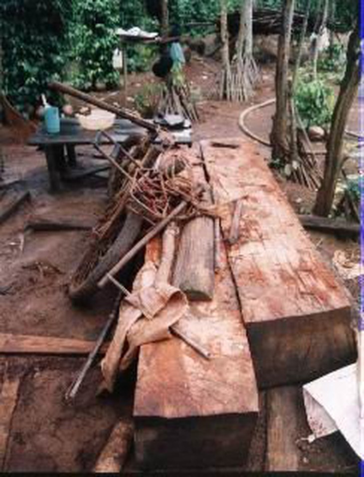 Cà Mau đồng ý chủ trương làm nhà máy ván ghép thanh và viên nén hơn 132 tỉ đồng - Ảnh 2.