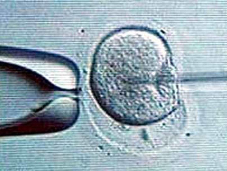 IVF gây căng thẳng cho nhiều người