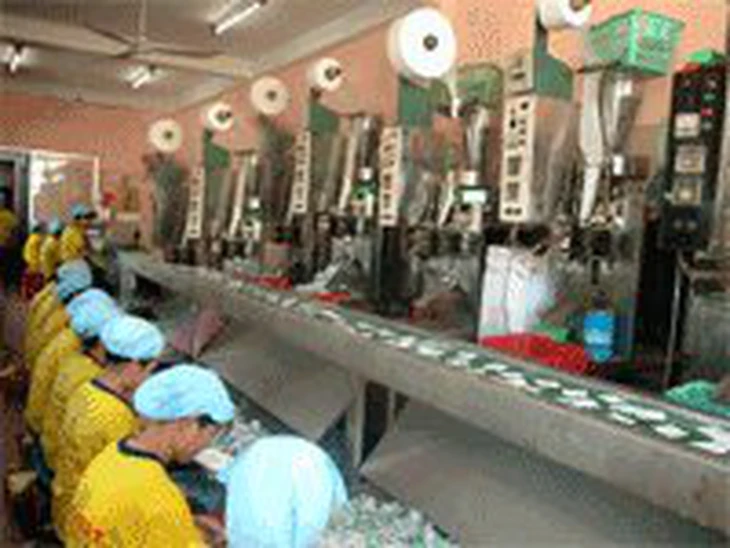 Bỏ phố về quê: thanh niên 8x kiếm 2 tỉ mỗi năm nhờ cây nhàu trên vùng đất U Minh Hạ - Ảnh 2.