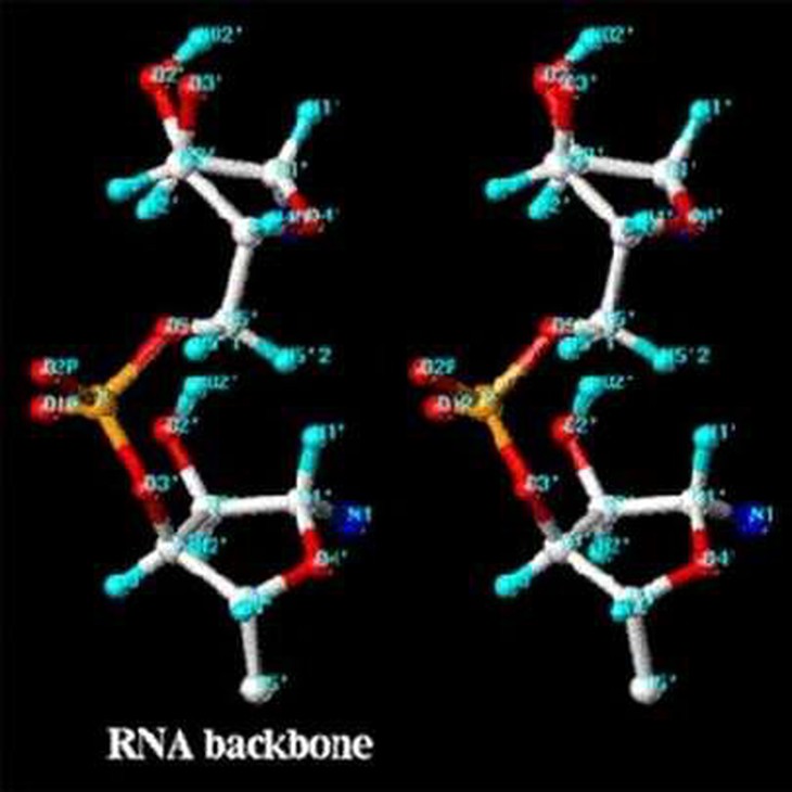 Sử dụng kỹ thuật RNA để chữa bệnh ung thư vú