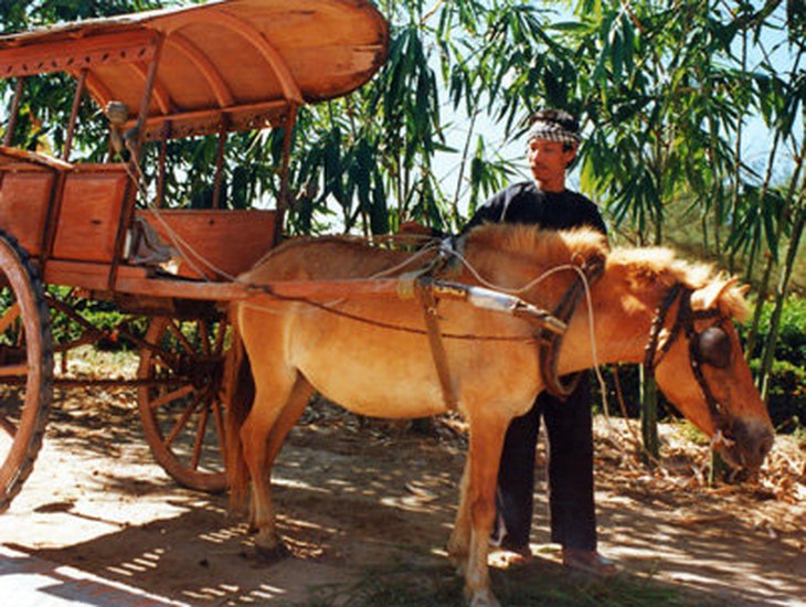 Chiếc xe thổ mộ và nỗi ngậm ngùi!