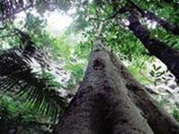 Việt Nam có thêm một vườn quốc gia ở Lào Cai - Ảnh 5.