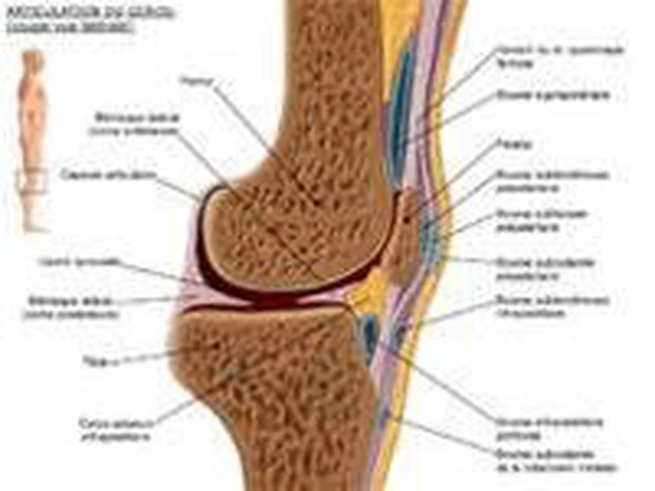 Bác sĩ cảnh báo thoái hóa khớp gối đang trẻ hóa, nhiều người ngoài 30 tuổi đã mắc - Ảnh 4.
