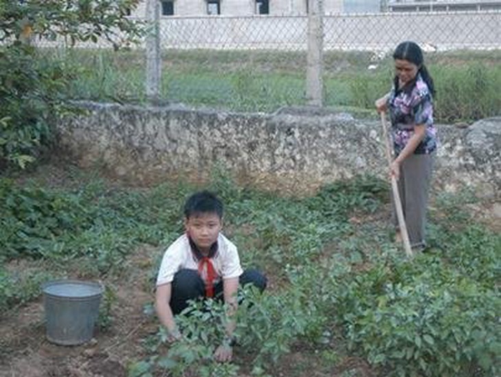 Nhân mồ côi và giải thưởng Kim Đồng