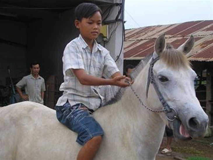 Những người vương vấn nghê nuôi ngựa đua Đức Hòa: Đời nài ngựa sau thời vang bóng - Ảnh 3.