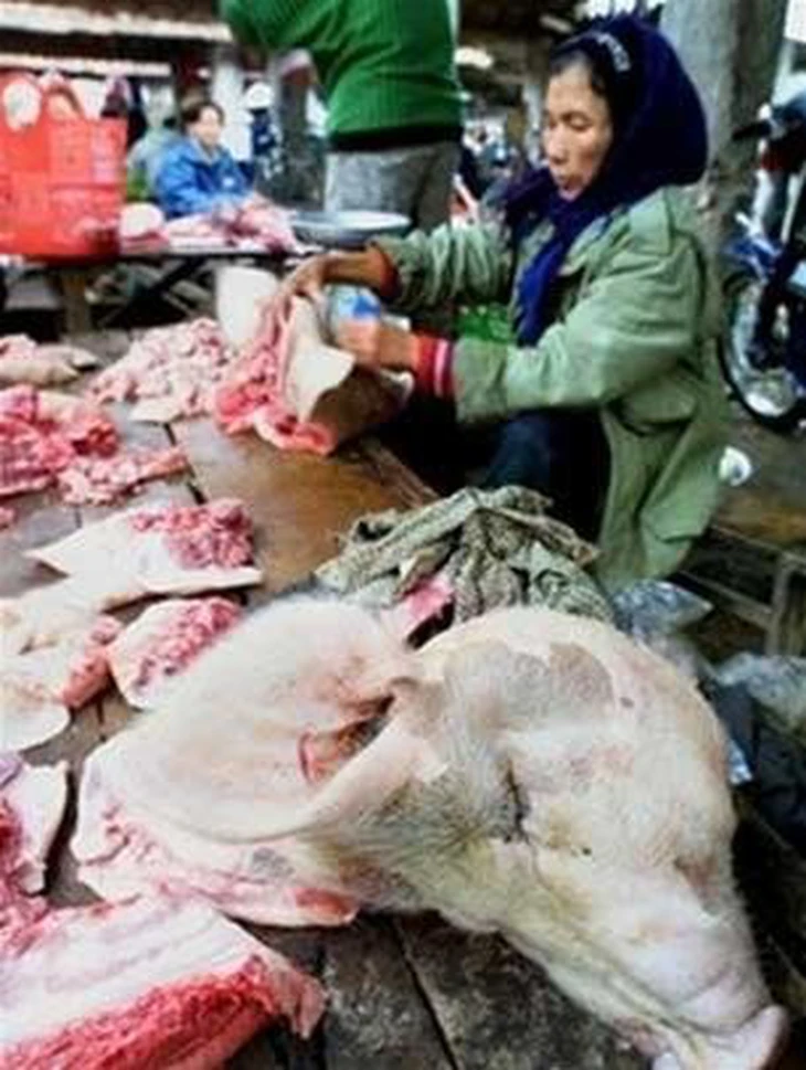 Chuyên gia y tế Việt Nam: Vi rút Nipah không lây 'bay xa' nhưng nguy hiểm khi tiếp xúc gần - Ảnh 2.