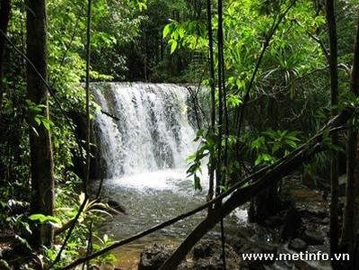 Phú Quốc: ngừng cho thuê đất rừng làm khu du lịch