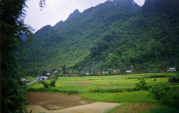 Mật mã Ba Đình - Kỳ 1: Núi rừng còn in dấu Người - Ảnh 2.