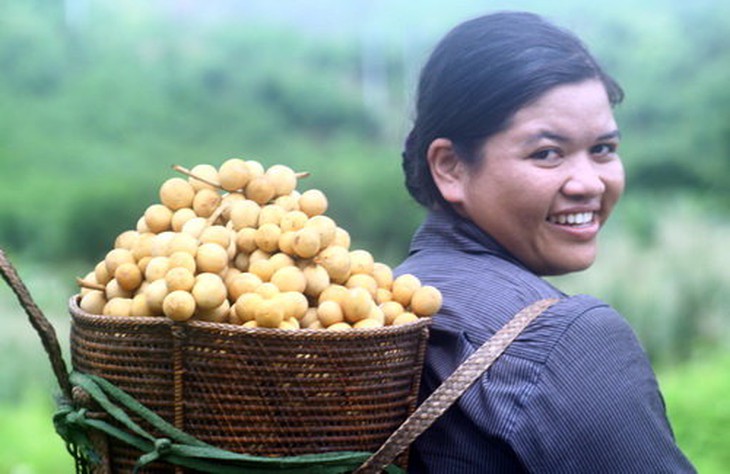 Lên non ăn trái lòn bon