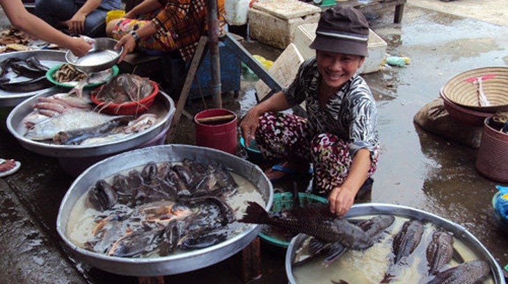 Cá lau kính lên bàn nhậu