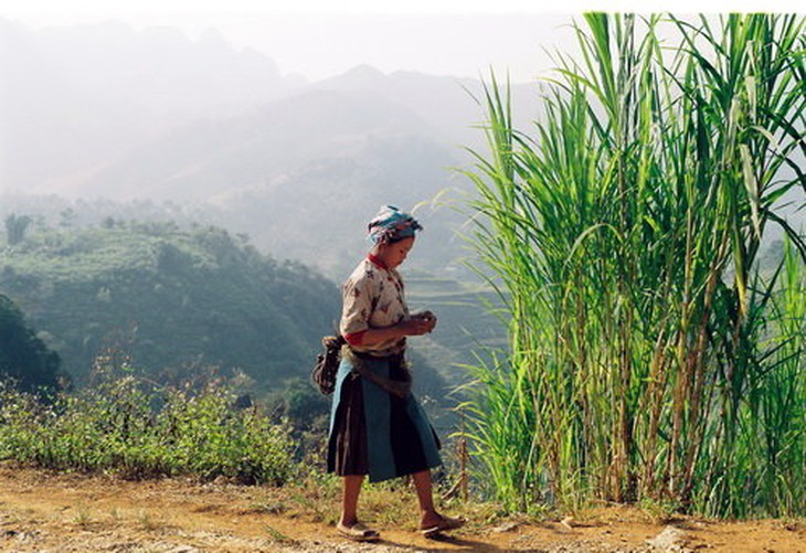 Dệt sợi gai