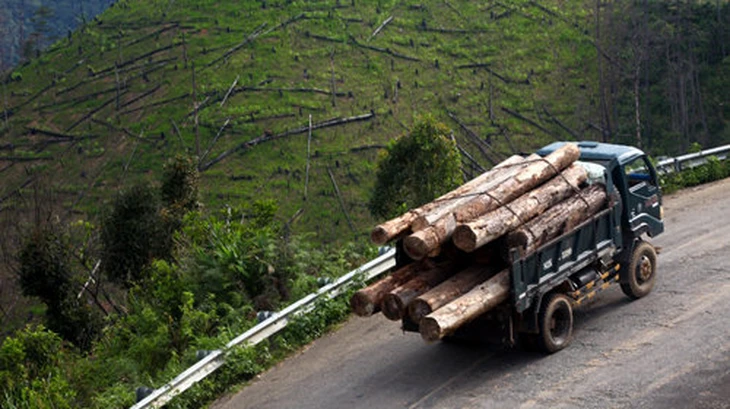 Việt Nam Xanh 2025: Từ cam kết đến hành động vì tương lai xanh - Ảnh 2.