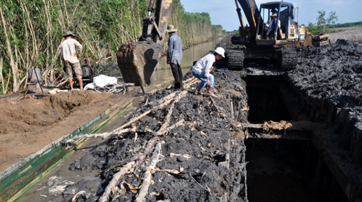 Kênh Đông phủ xanh vùng đất thép - Ảnh 2.
