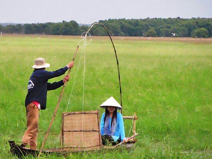 Về Tràm Chim, nửa đêm chèo xuồng đi thu hoạch lúa trời